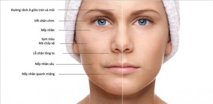 Cách Chống Lão Hóa Da Mặt Từ Thiên Nhiên