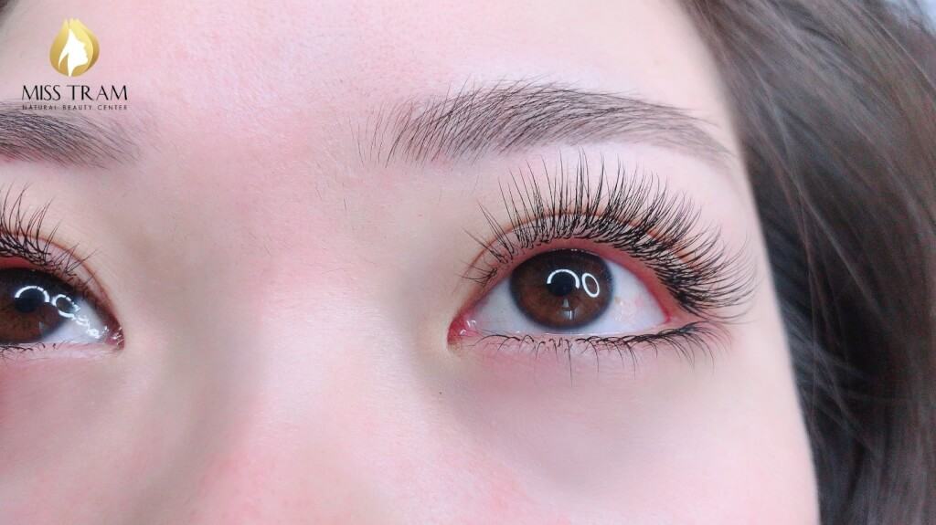 Super Durable Natural Angel Eyelash Extension Recipe at Miss Tram Few people know