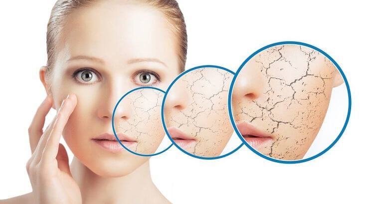 Anti-Aging Secrets For Dry Skin Principle