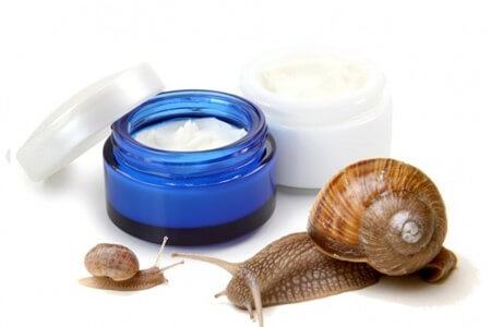 skin care ingredients in cosmetics
