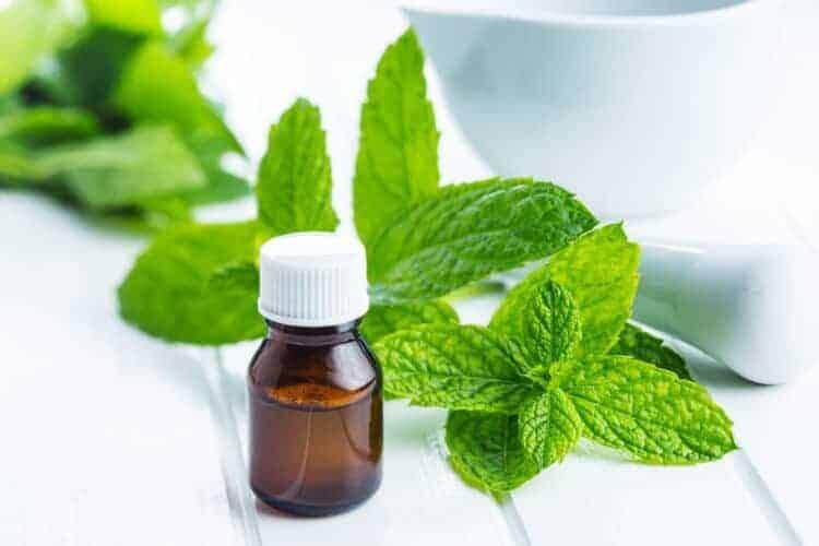 Treat acne safely with menthol