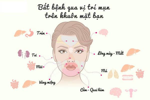 decoding the location of acne on the face