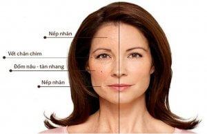 A Guide To Reversing Skin Aging At The Age Of 40 Understanding