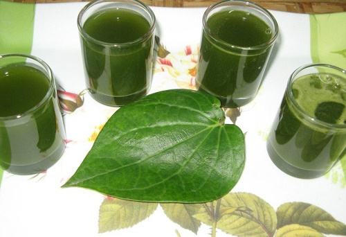 The recipe to treat melasma with betel leaves is safe