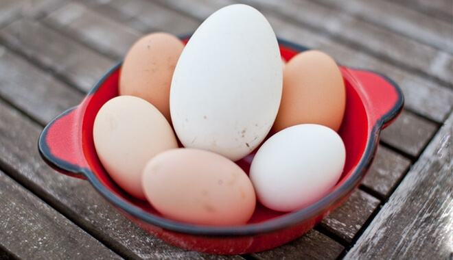 hạn chế sử dụng trứng gia cầm