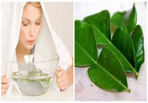 Should I treat melasma with betel leaves?