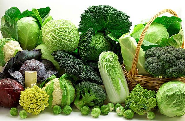 Types of vegetables