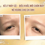 Xử Lý Mày Cũ - Thực Hiện Điêu Khắc Mới Chân Mày Nữ Hoàng Nghiên cứu