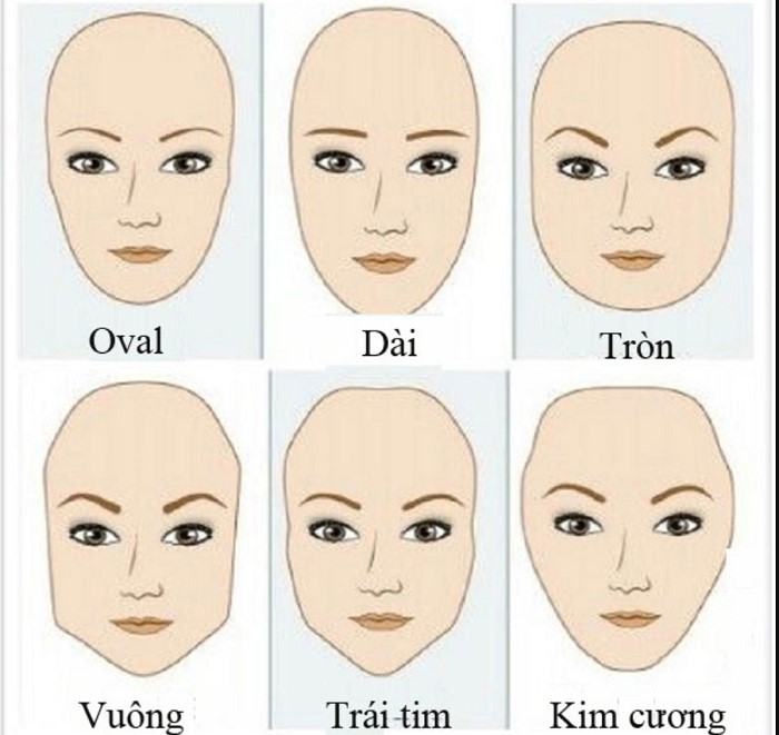 Determine the right eyebrow shape for the face