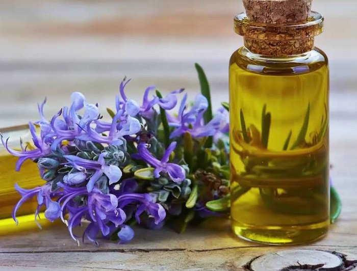 Tinh dầu hương thảo giúp trị mùi cơ thể hiệu quả