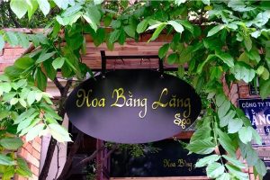 Review of Beauty Service Hoa Bang Lang Spa HCM: Quality, Quotation? Full