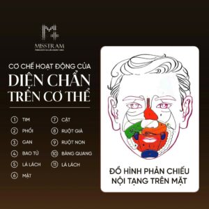 Diện Chẩn Tác Động Lên Nội Tạng Như Thế Nào? Hiểu Đúng Về Đồ Hình Phản Chiếu Trên Khuôn Mặt Bạn đã nghe